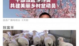 羊村最新爆料新闻事件是真的吗,事件真实性遭热议